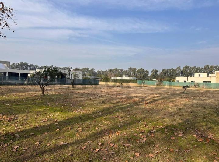 Terreno · 1150m²