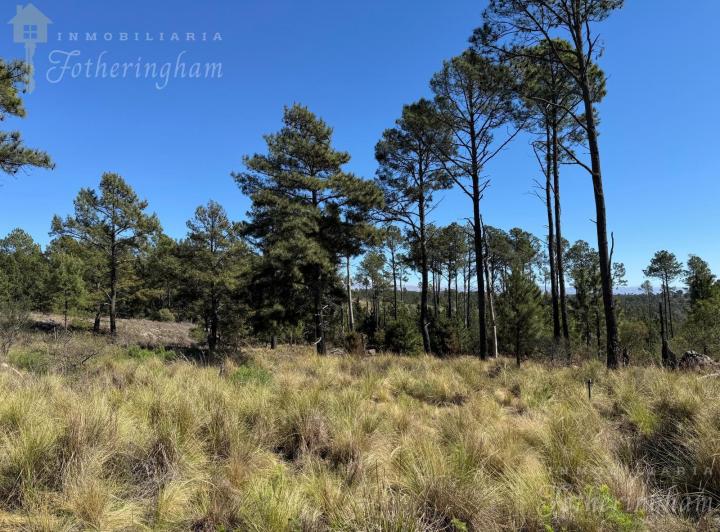 Terreno · 24868m²