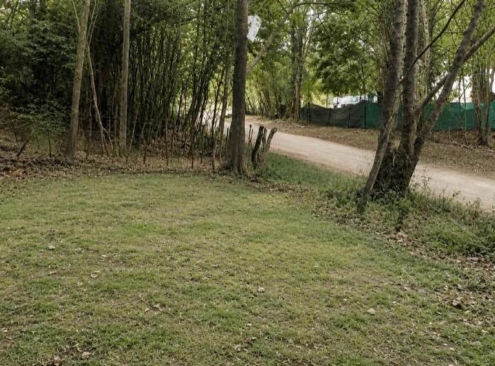 Terreno · 392m²