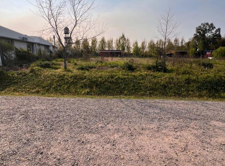 Terreno · 962m²