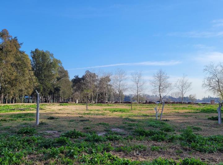 Terreno · 1217m²
