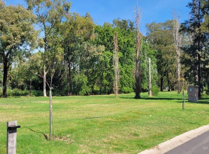 Terreno · 700m²
