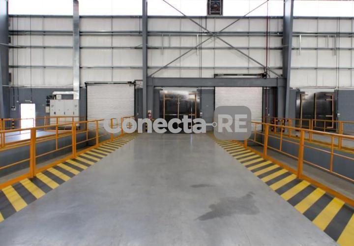 Bodega-Galpón · 9000m²