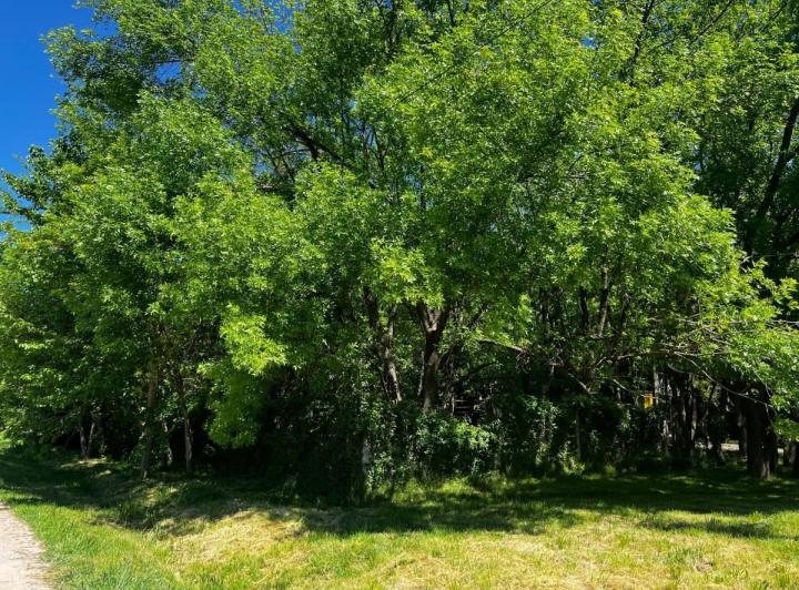 Terreno · 200m²