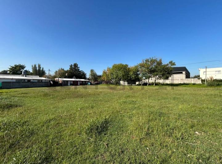 Terreno · 1366m²