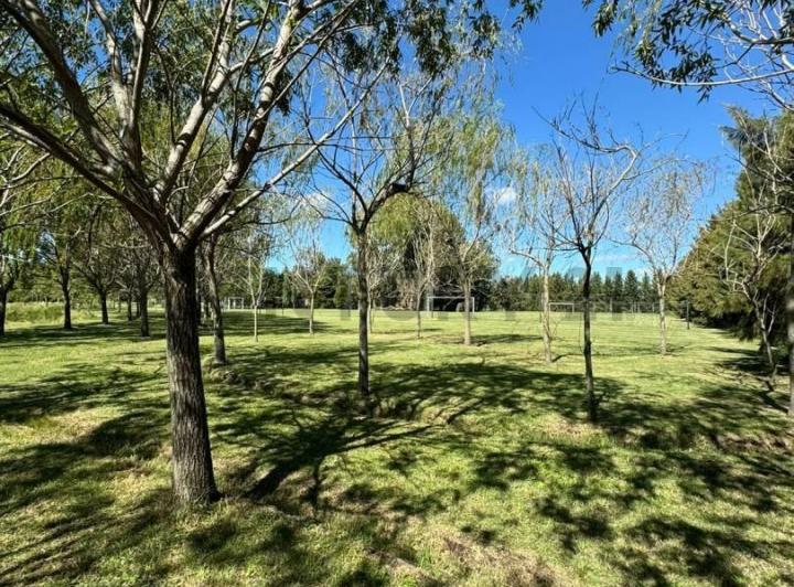 Terreno · 1082m²