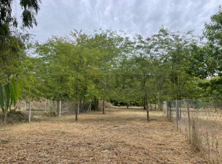 Terreno · 810m²