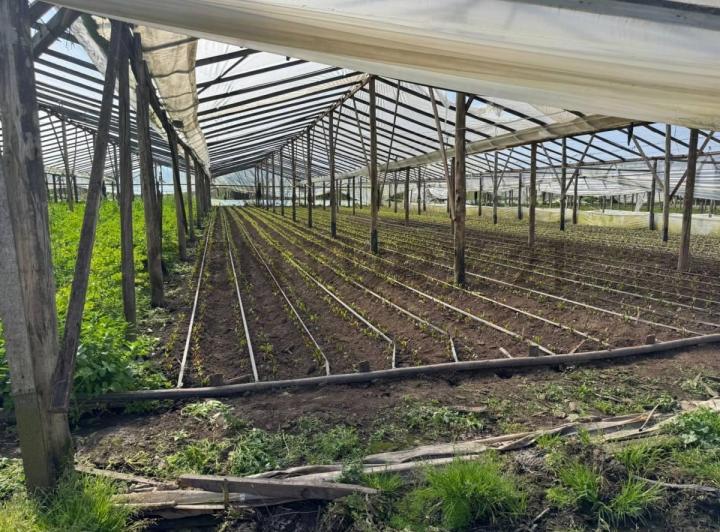 Terreno · 100m²