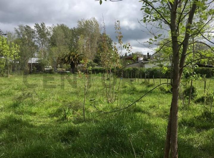 Terreno · 1000m²