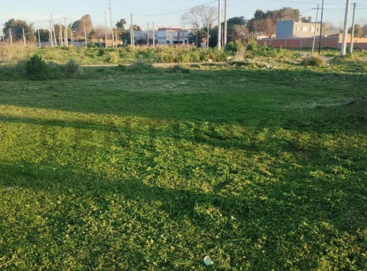 Terreno · 316m²