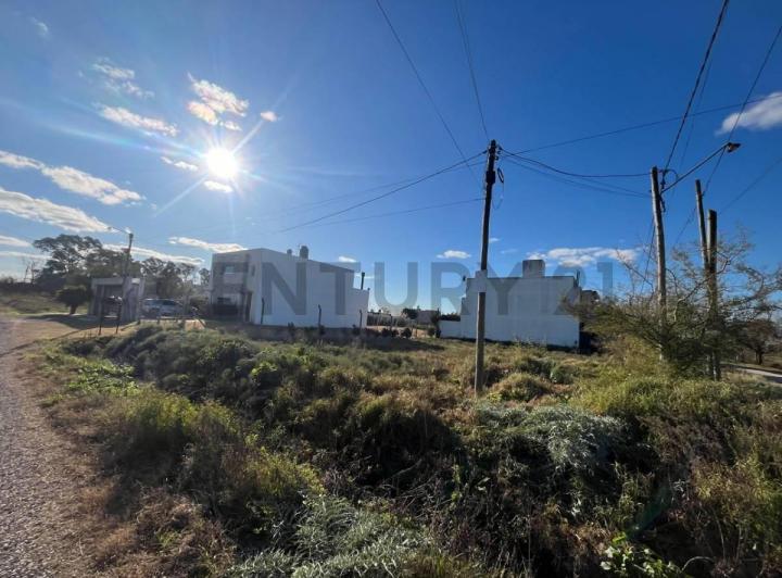 Terreno · 229m²