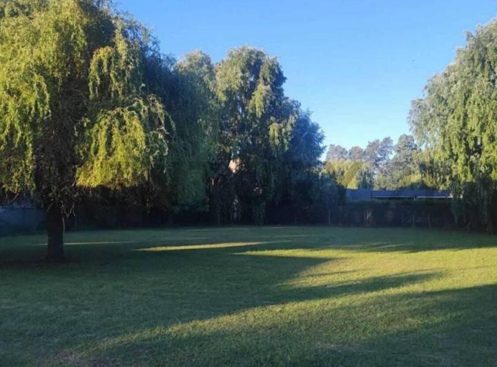 Terreno · 982m²