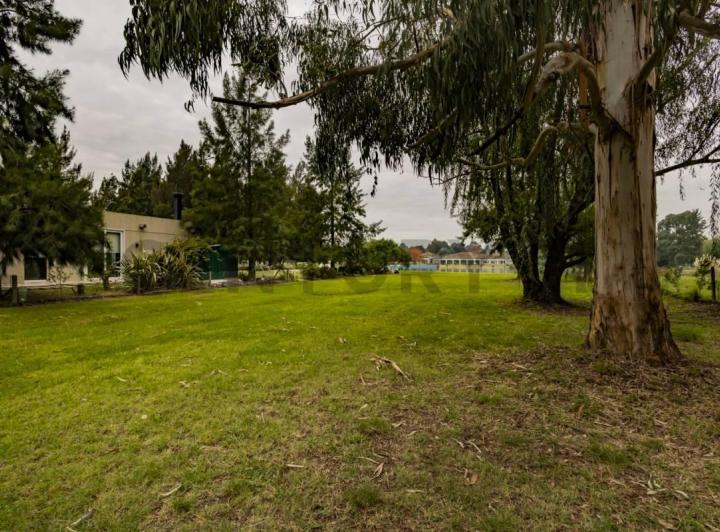 Terreno · 1291m²