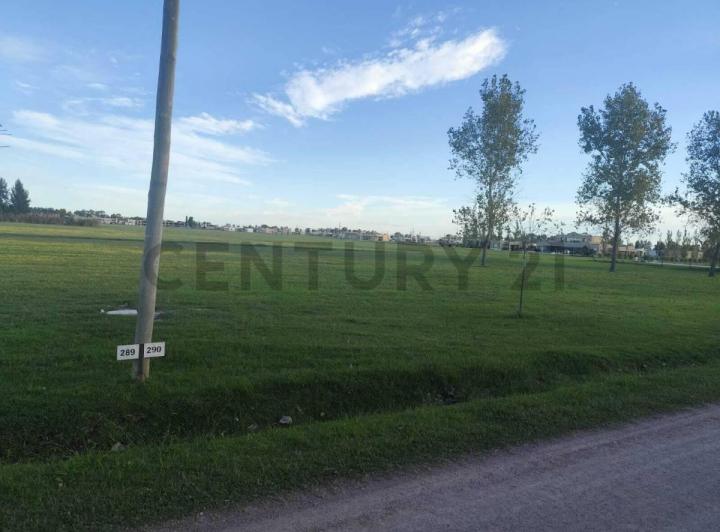 Terreno · 2000m²