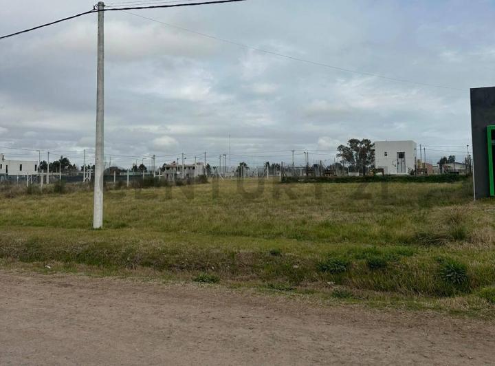 Terreno · 299m²
