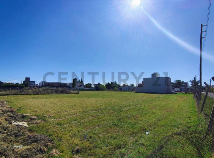 Terreno · 369m²