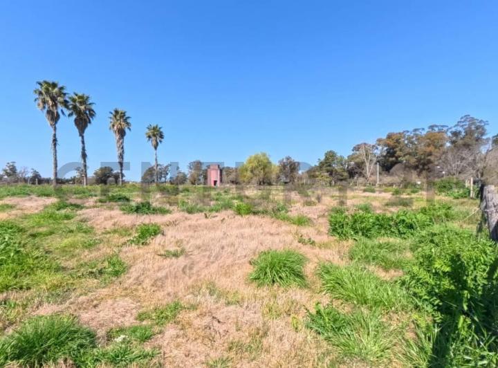 Terreno · 117500m²