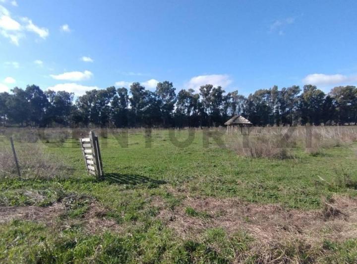 Terreno · 10000m²
