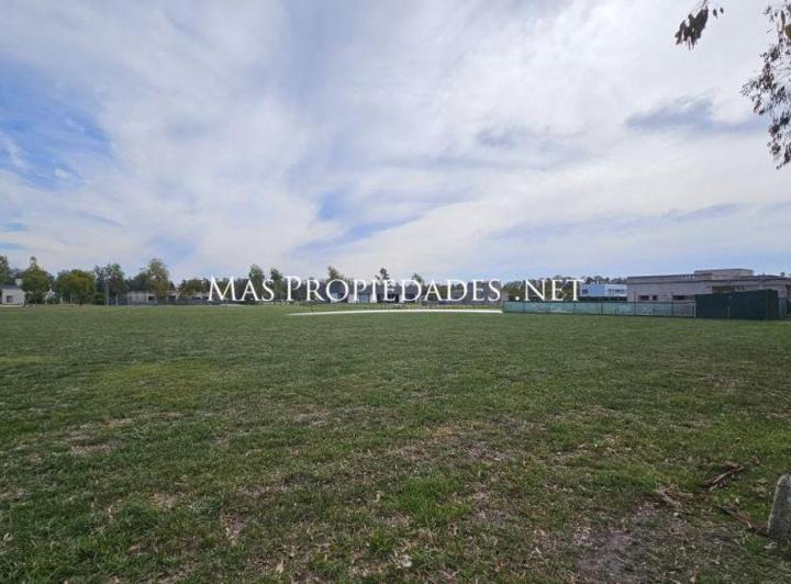 Terreno · 2500m²