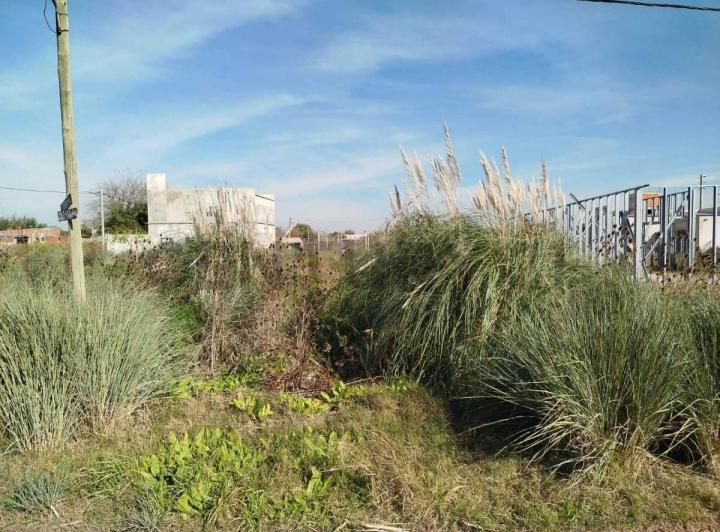 Terreno · 230m²