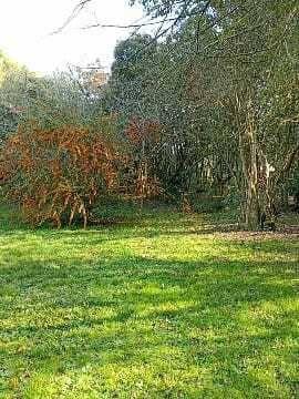 Terreno · 900m²