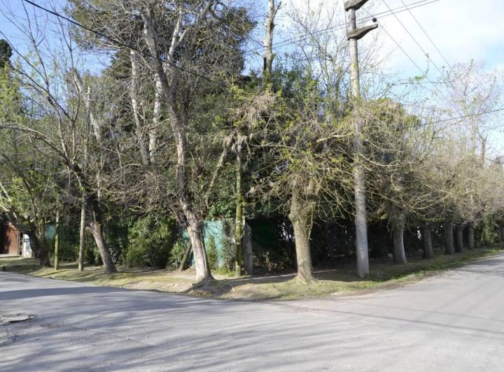 Terreno · 1984m²