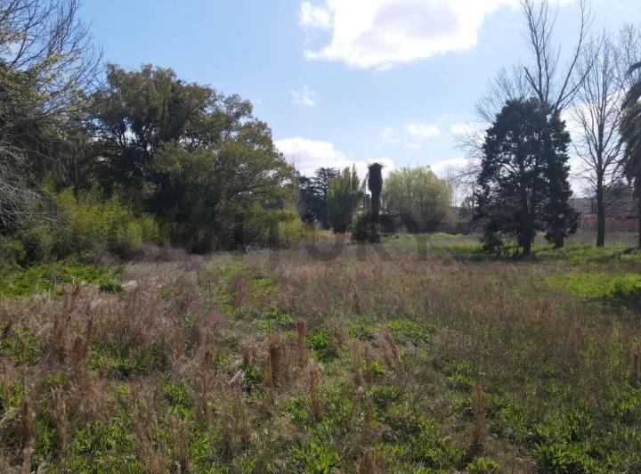 Terreno · 330m²