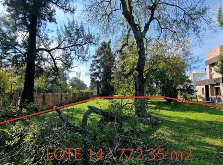 Terreno · 772m²