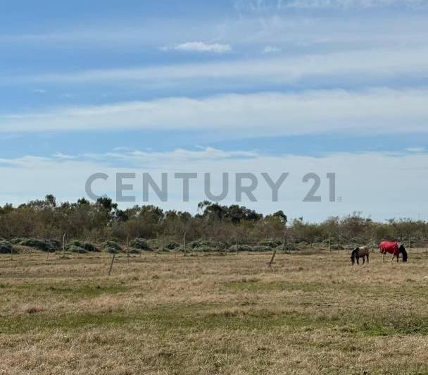 Terreno · 166m²