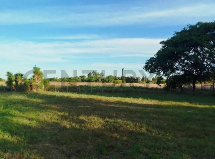 Terreno · 967m²
