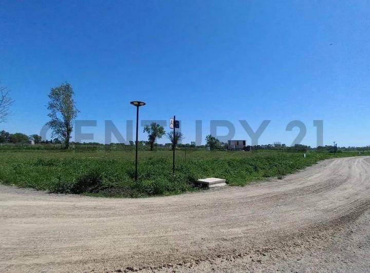 Terreno · 734m²