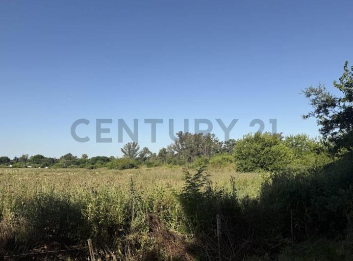 Terreno · 767m²