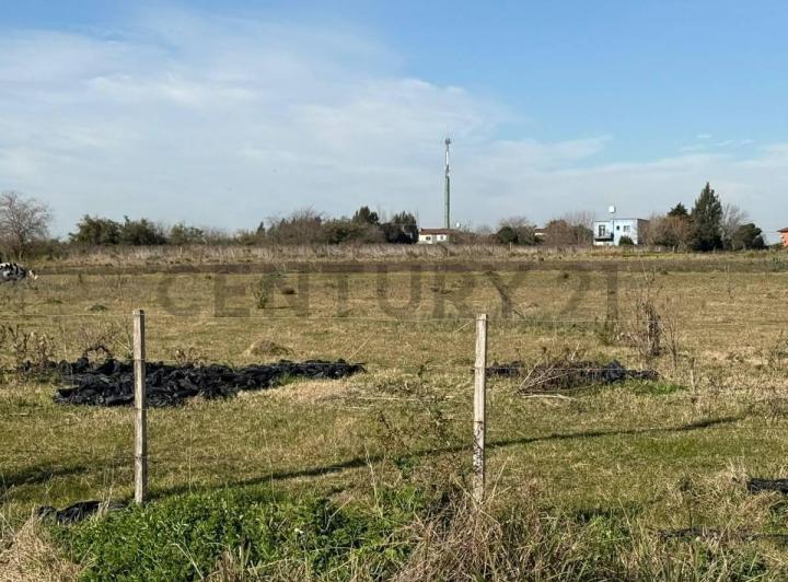 Terreno · 55000m²