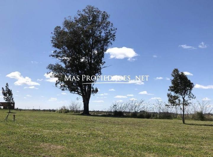 Terreno · 601m²