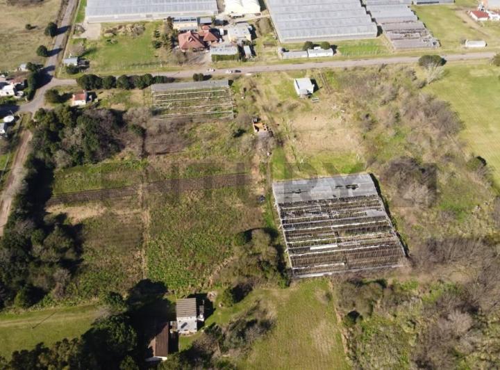 Terreno · 25000m²