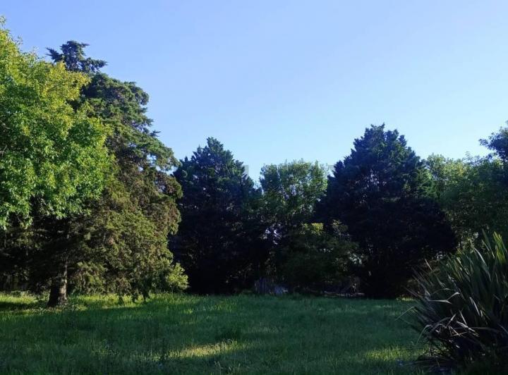 Terreno · 1383m²