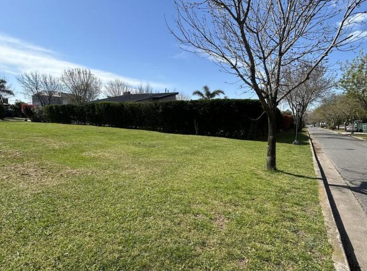 Terreno · 700m²