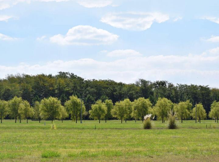 Terreno · 2471m²