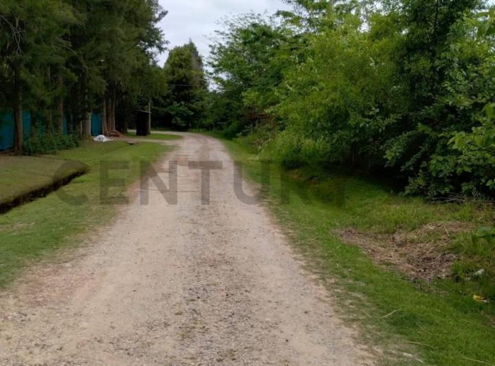 Terreno · 3600m²