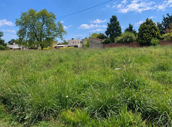 Terreno · 770m²