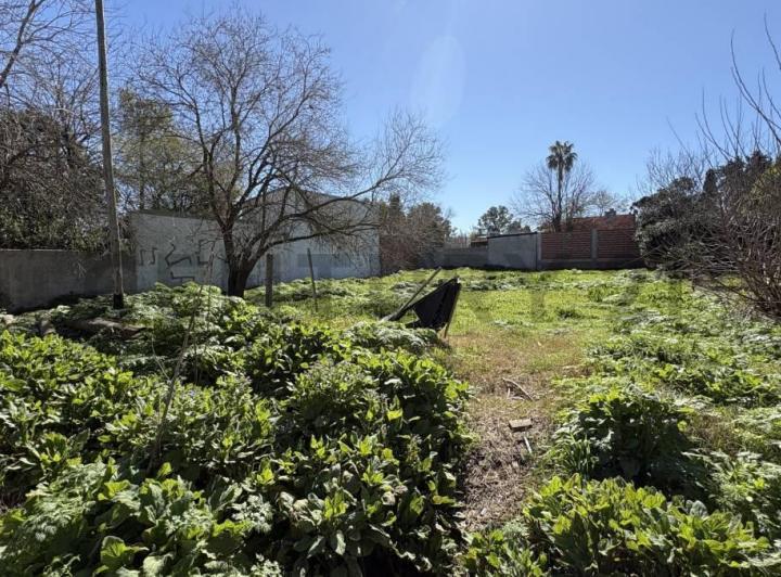 Terreno · 660m²