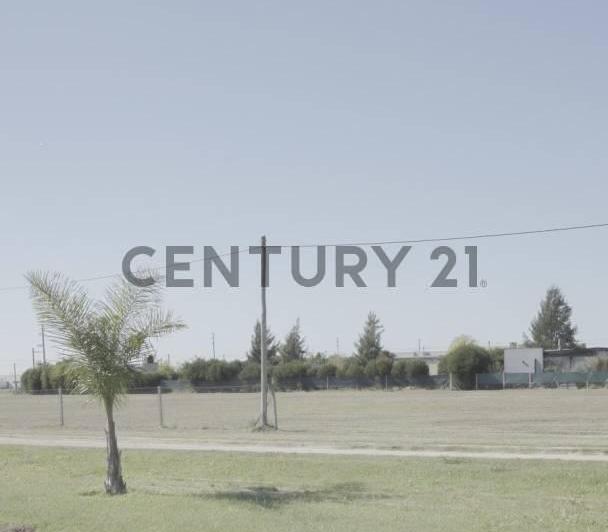Terreno · 1000m²