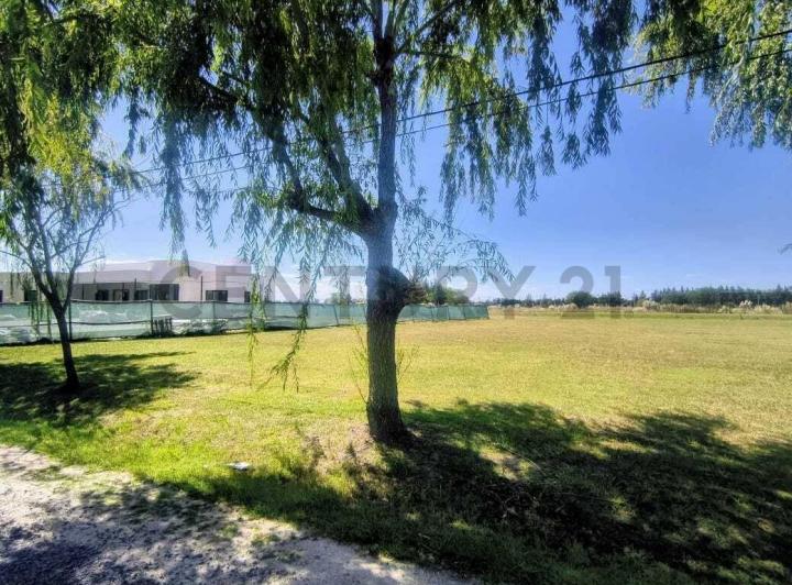 Terreno · 2176m²