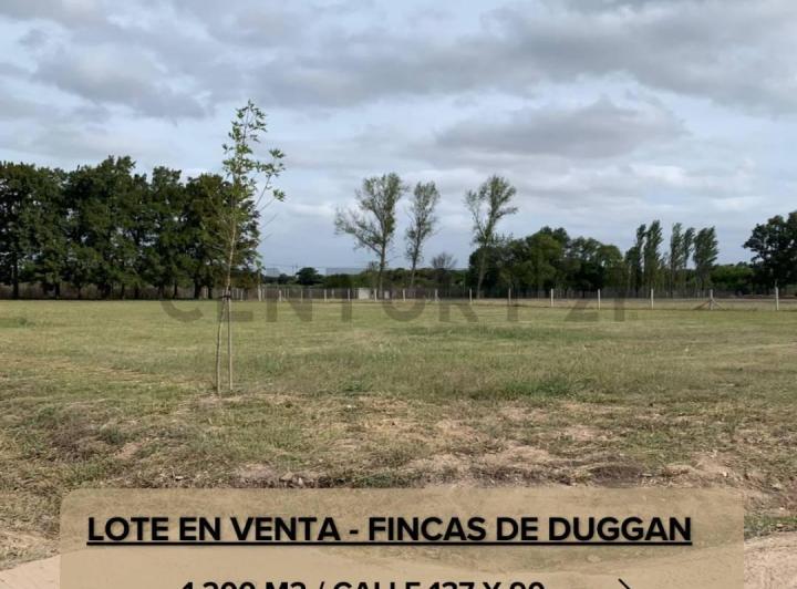Terreno · 1200m²