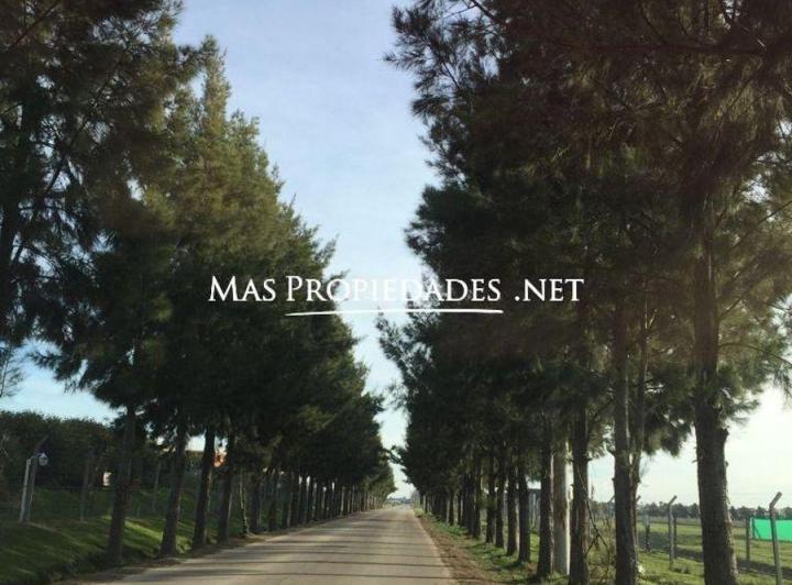 Terreno · 623m²