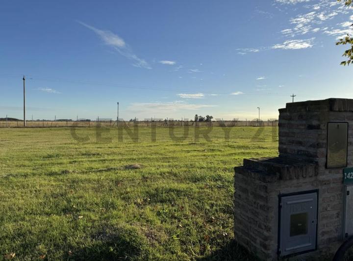 Terreno · 1005m²