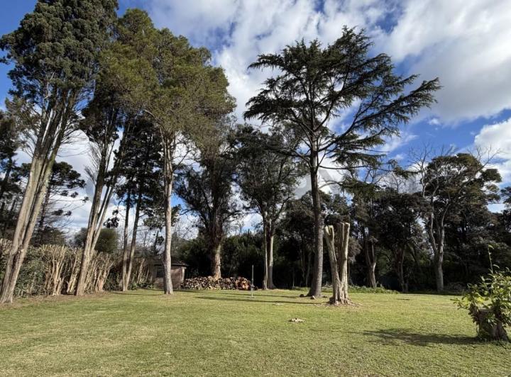 Terreno · 801m²