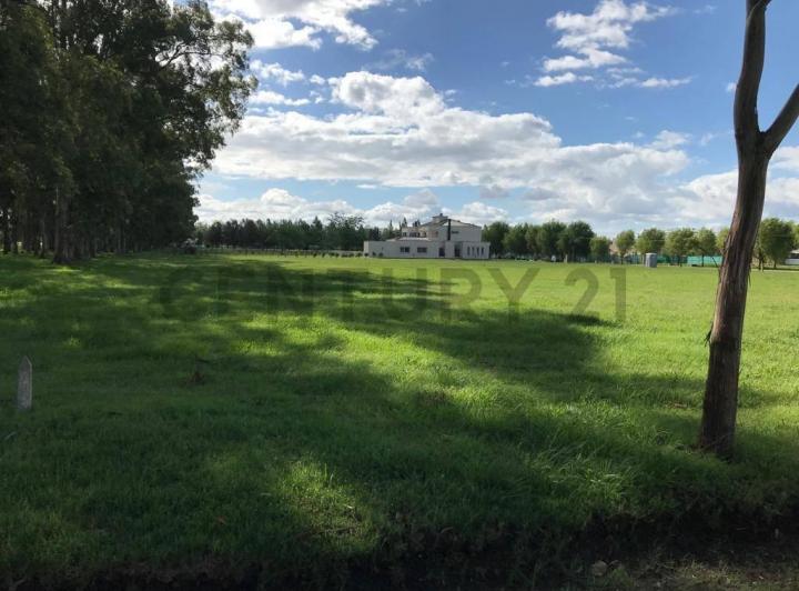Terreno · 2438m²