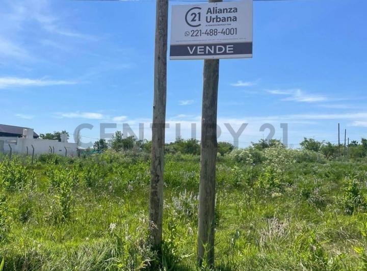 Terreno · 300m²