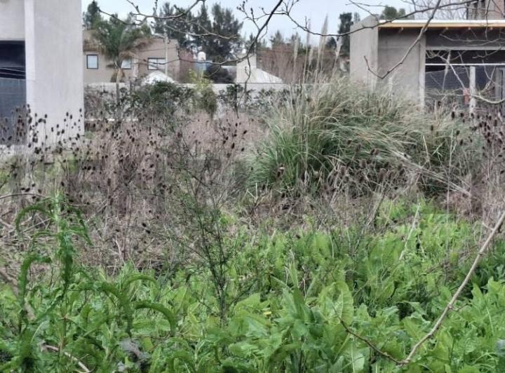 Terreno · 300m²